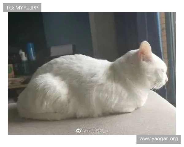 最新大发娱乐登录入口地址，便捷快速的登录体验指南